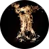 Javad art